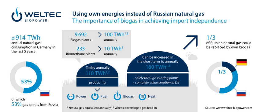 weltec y la importación de gas ruso