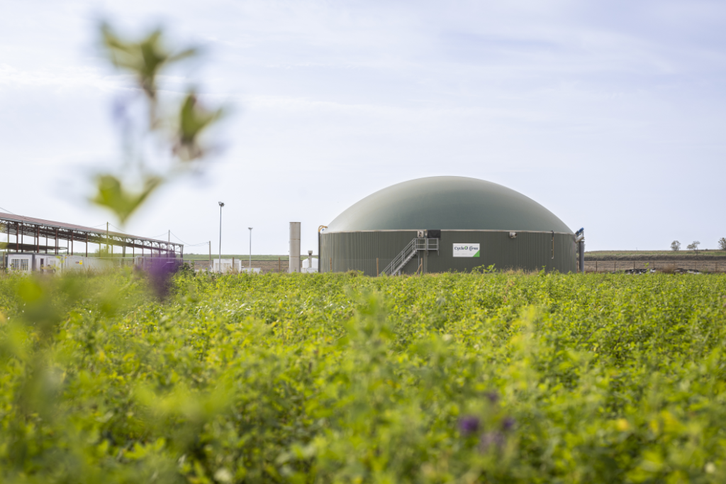 Planta de cycle en Lleida