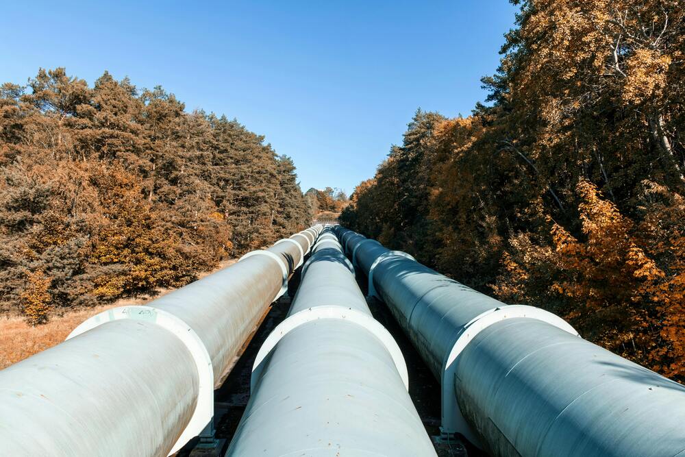 España regulará por primera vez cuotas mínimas obligatorias de biometano en las ventas de gas natural
