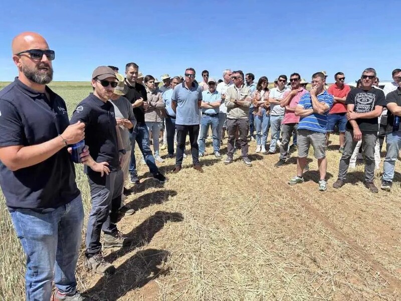 Estudio en Cabrejas del Campo. Autor: desdesoria.es