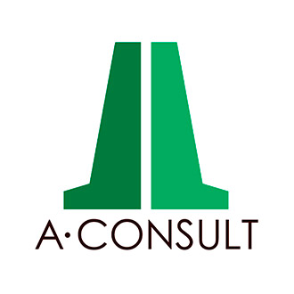 A - CONSULT